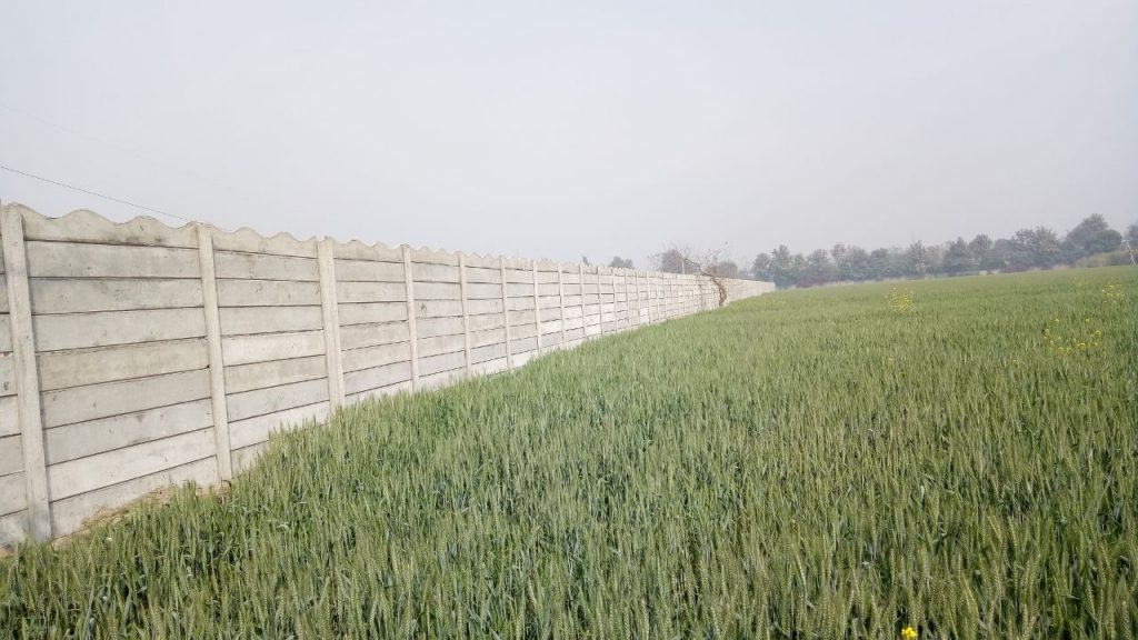 Precast Walls