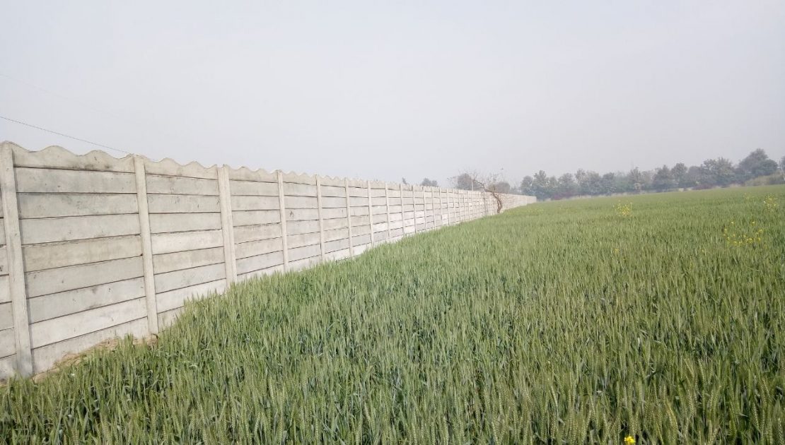 Precast Walls