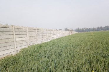 Precast Walls